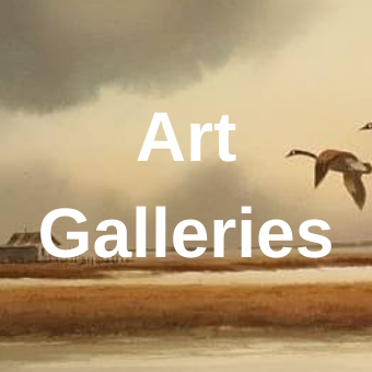 art-galleries