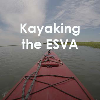 kayak-the-shore